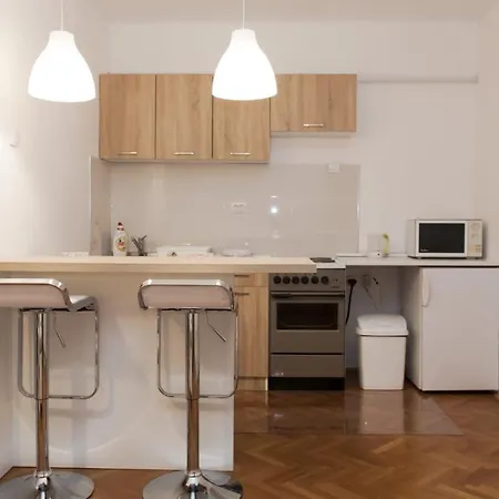 公寓 Dorcol Apartman 贝尔格莱德