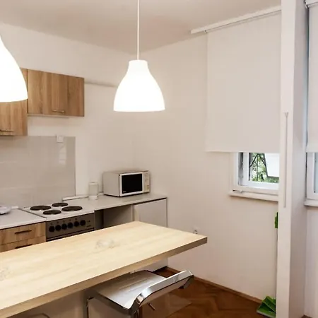 公寓 Dorcol Apartman 贝尔格莱德